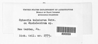 Image Associated With the Occurence